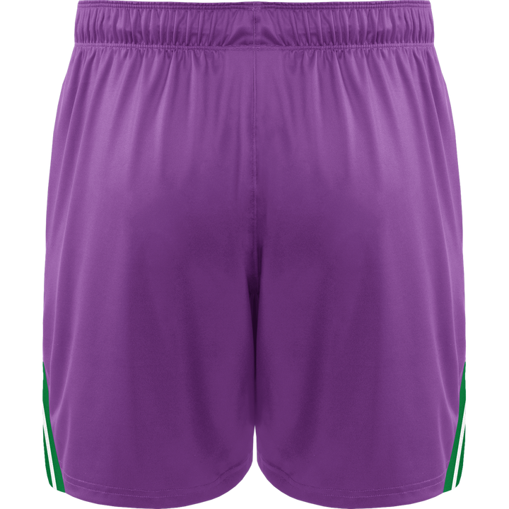 Philadelphia Waterdogs 2025 Throwback Replica Shorts