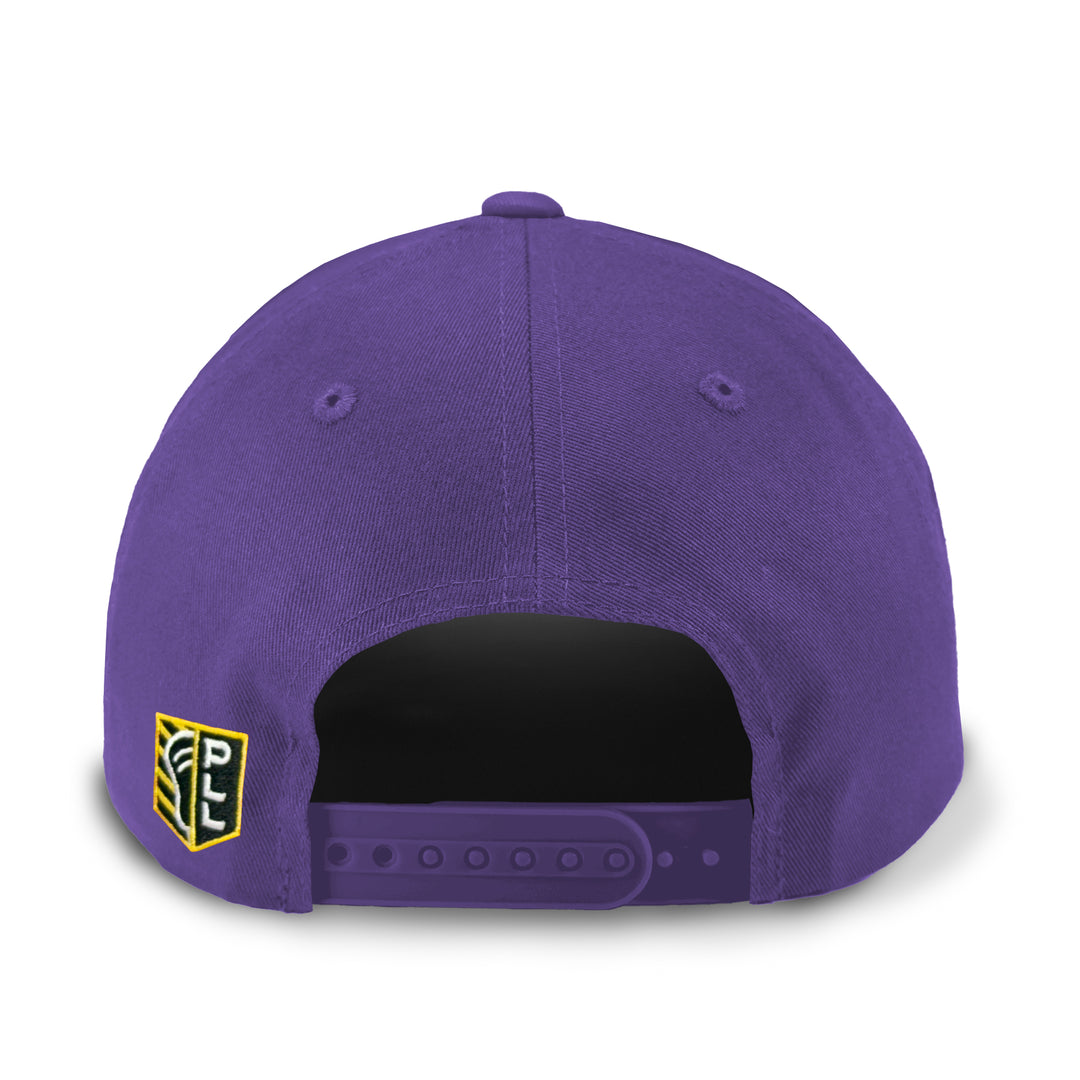 Philadelphia Waterdogs Throwback Hat 2025