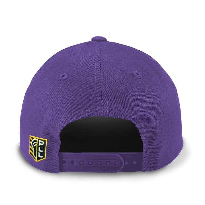Philadelphia Waterdogs Throwback Hat 2025
