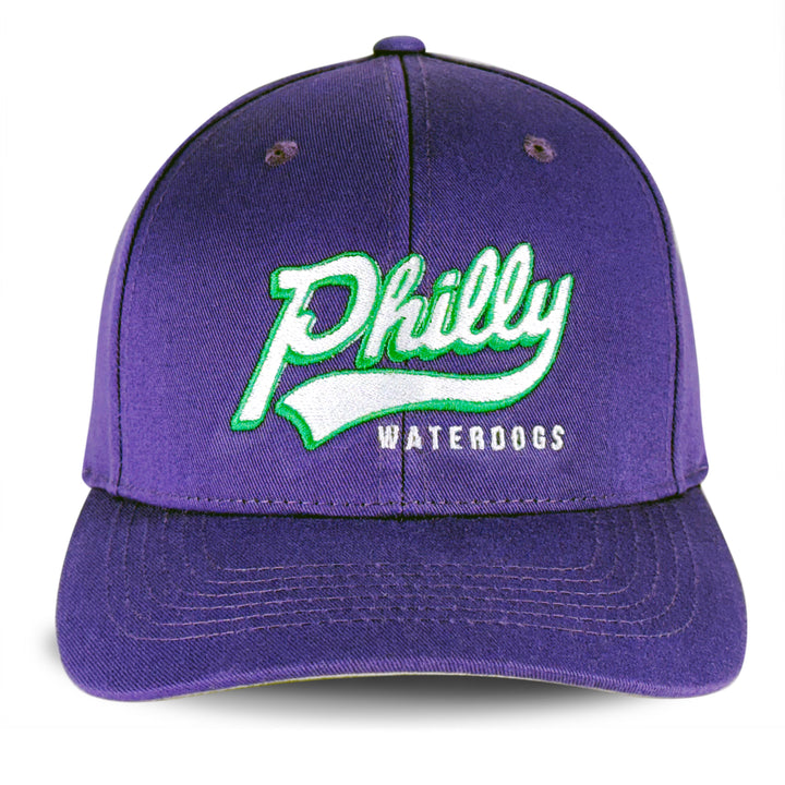 Philadelphia Waterdogs Throwback Hat 2025