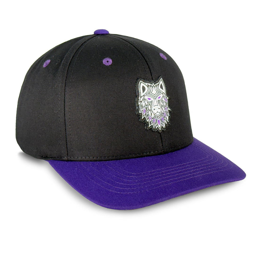 Philadelphia Waterdogs Indigenous Heritage Hat 2025
