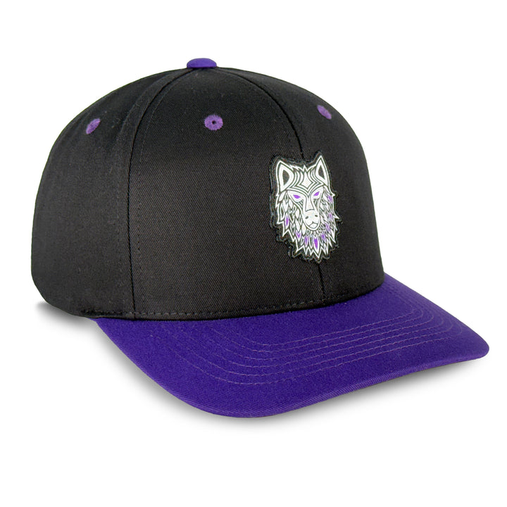 Philadelphia Waterdogs Indigenous Heritage Hat 2025