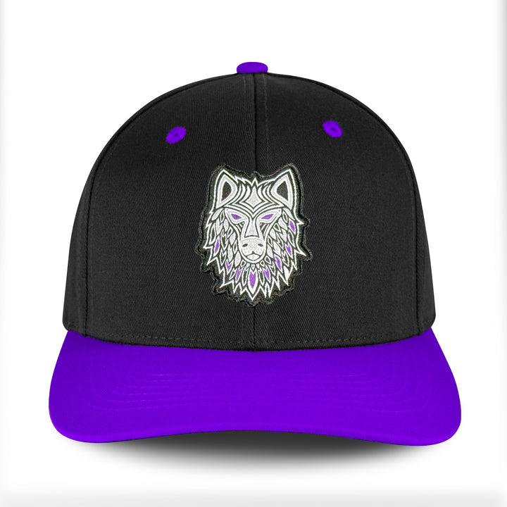 Philadelphia Waterdogs Indigenous Heritage Hat 2025