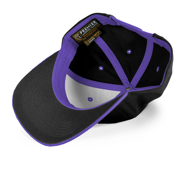 Philadelphia Waterdogs Indigenous Heritage Hat 2025