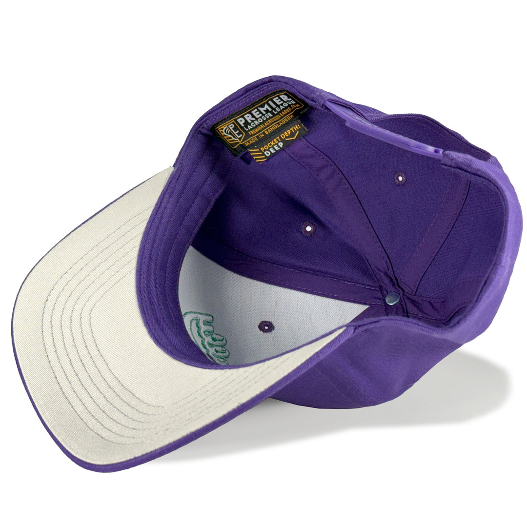 Philadelphia Waterdogs Throwback Hat 2025