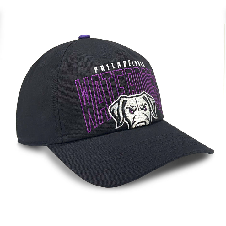 Philadelphia Waterdogs Oversized Graphic Hat