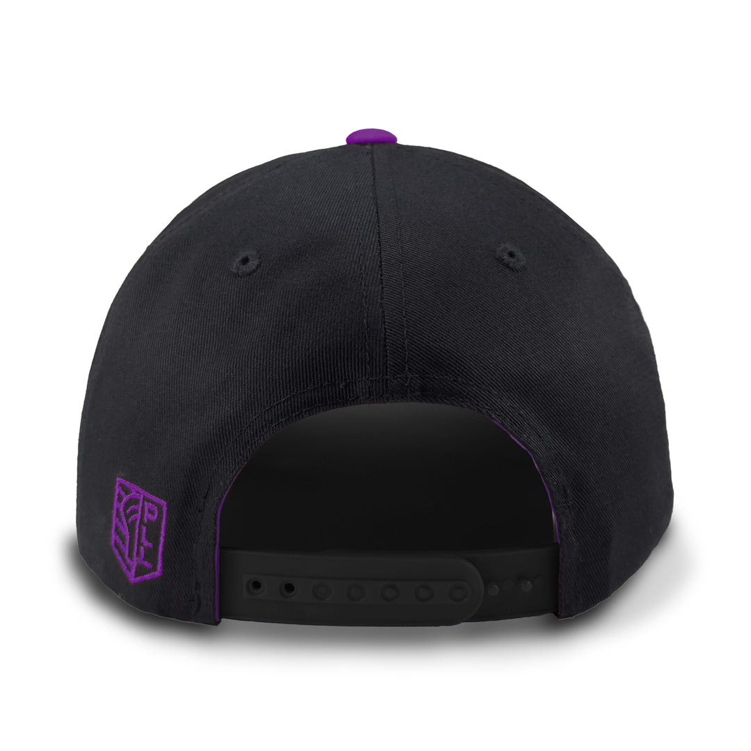 Philadelphia Waterdogs Oversized Graphic Hat