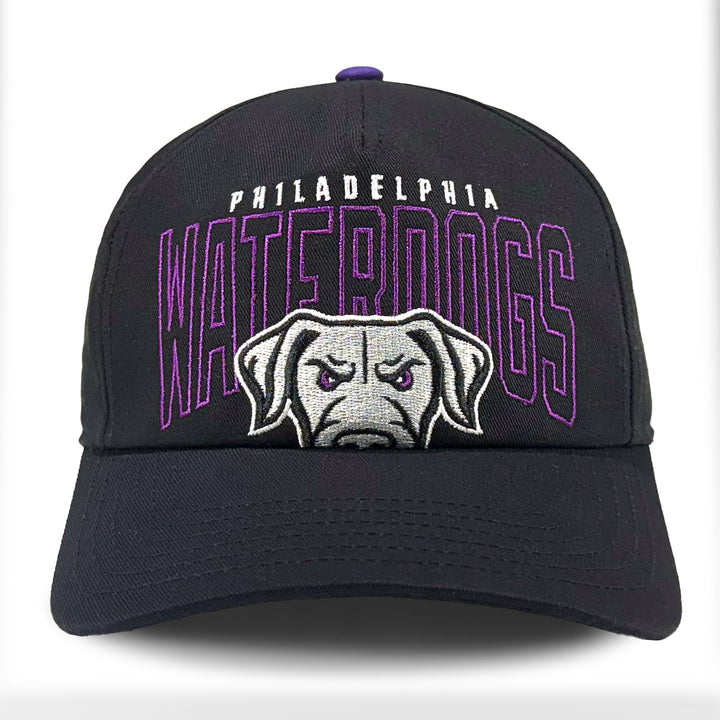 Philadelphia Waterdogs Oversized Graphic Hat