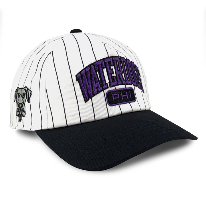 Philadelphia Waterdogs Pinstripe Hat