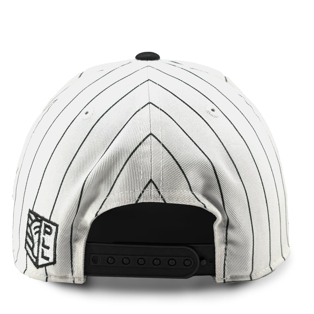 Philadelphia Waterdogs Pinstripe Hat