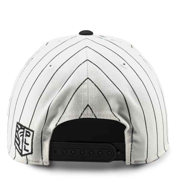 Philadelphia Waterdogs Pinstripe Hat