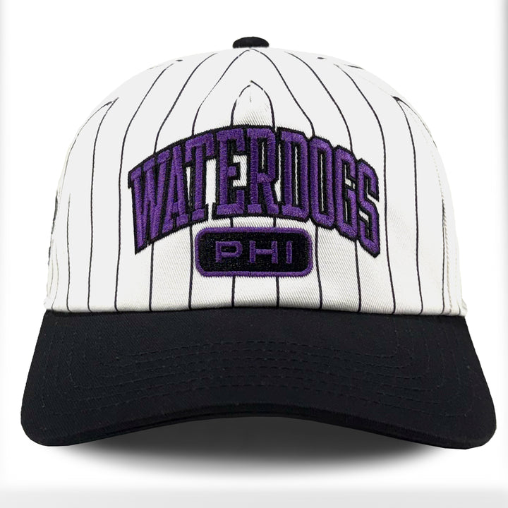 Philadelphia Waterdogs Pinstripe Hat
