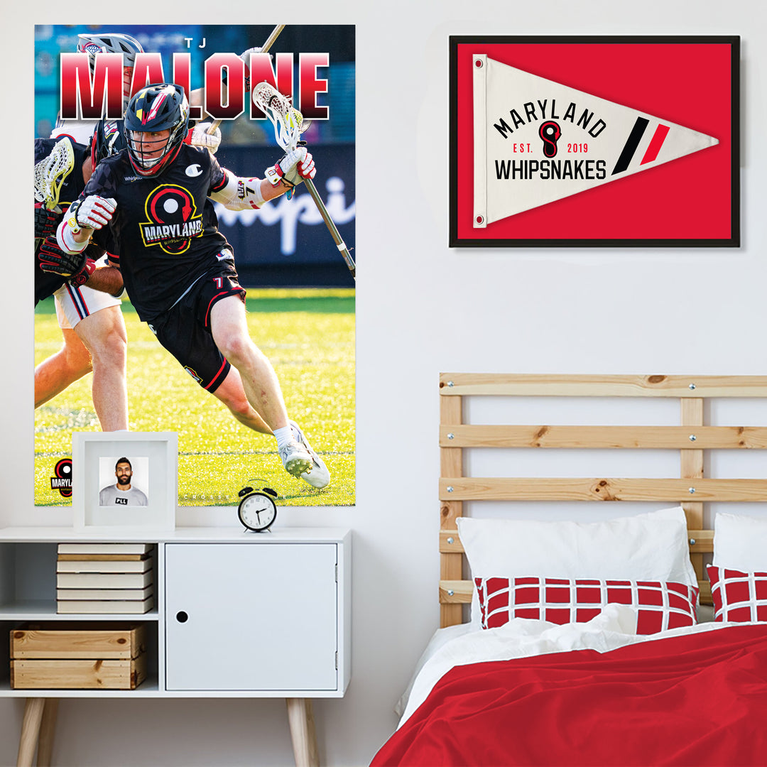 Maryland Whipsnakes Retro Canvas Flag