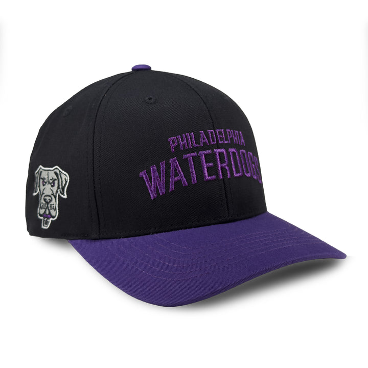 Philadelphia Waterdogs Wordmark Hat