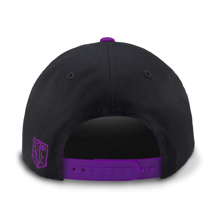 Philadelphia Waterdogs Wordmark Hat