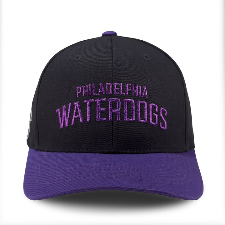 Philadelphia Waterdogs Wordmark Hat