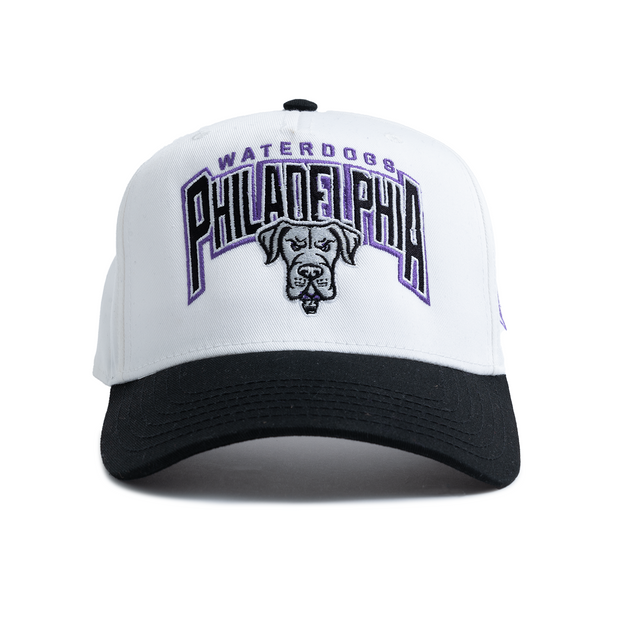 Philadelphia Waterdogs Foundation Hat