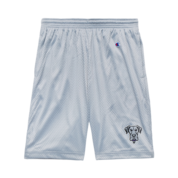 Champion Philadelphia Waterdogs Classic Mesh Shorts - Grey