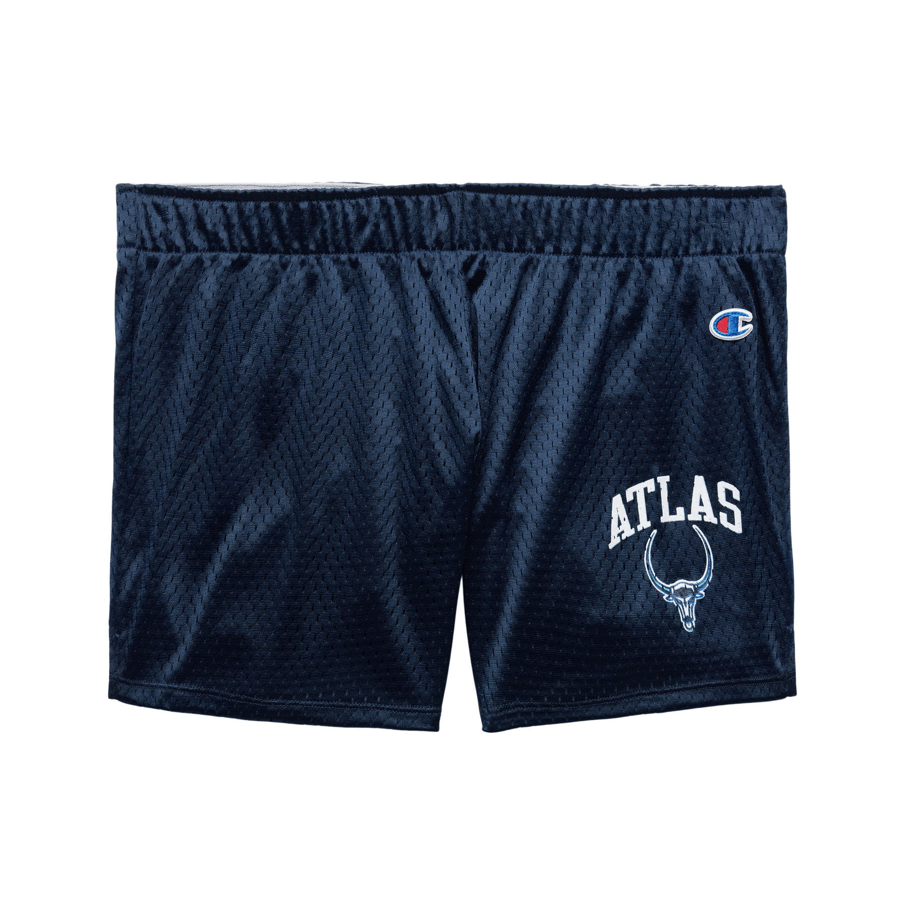 Blue champion shorts womens shop
