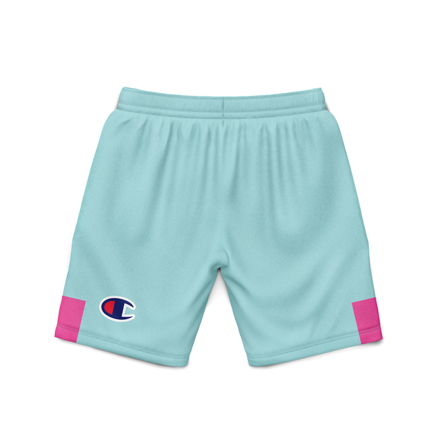 Blue and hot sale pink champion shorts