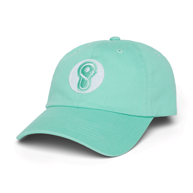 Whipsnakes Washed Dad Hat